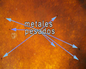 1623_1692_1968_desintoxicador1